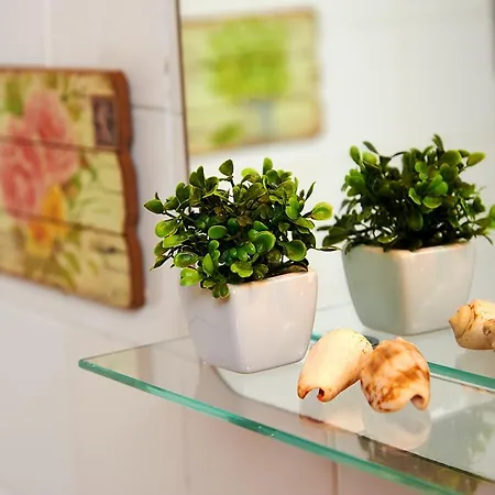 Διαμέρισμα Garden Saldanha *