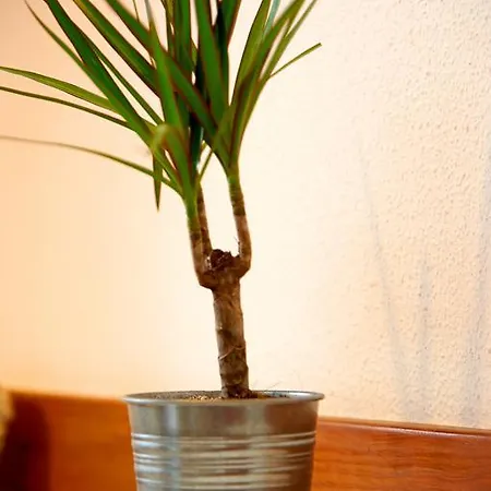 Apartment Central Garden Saldanha Lisbon