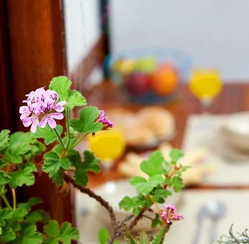 Appartamento Garden Saldanha Lisbona