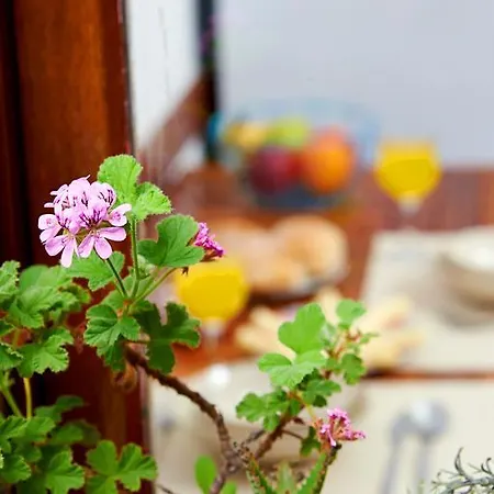 Appartement Garden Saldanha Lisboa